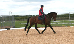 Dylan better outline