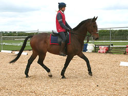 Dylan's tyical headcarriage