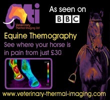 vetthermalimaging