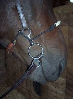 A correctly fitted Myler Combination